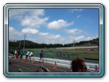 Pit wall during race レース時のピットウォール